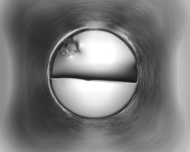 X0000098171343200804241001