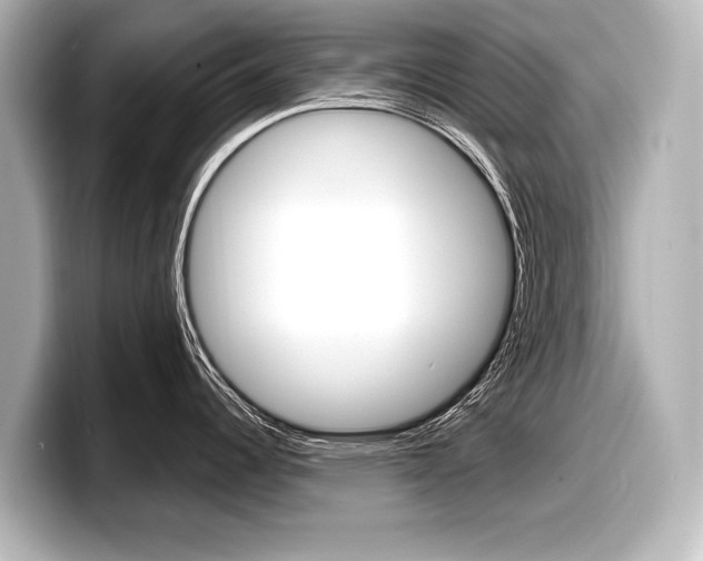 X0000098171344200804241001