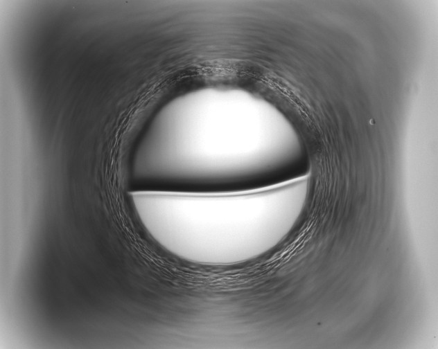 X0000098171345200804241001