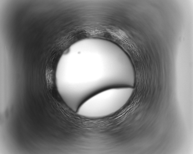 X0000098171346200804241001