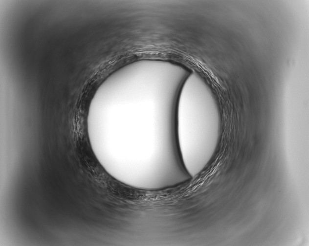 X0000098171350200804241001