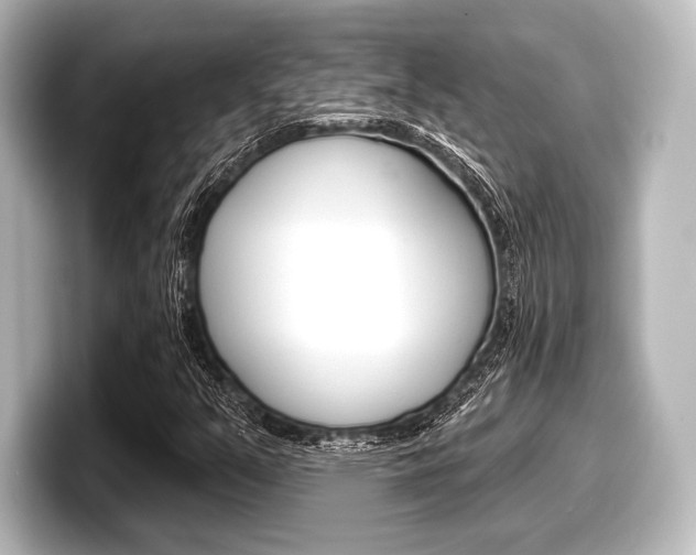 X0000098171351200804241001