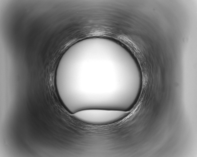 X0000098171353200804241001