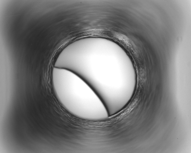 X0000098171354200804241000