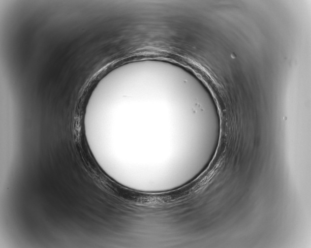 X0000098171355200804241000