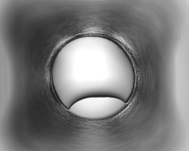 X0000098171358200804241000