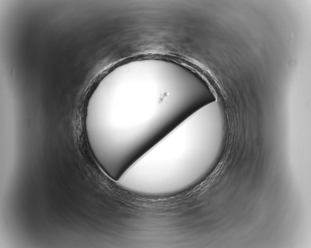 X0000098171359200804241000