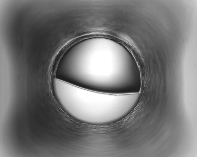 X0000098171360200804241000