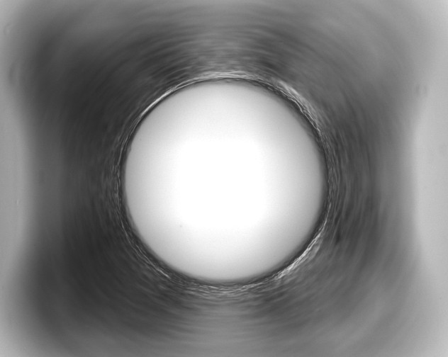 X0000098171361200804241000