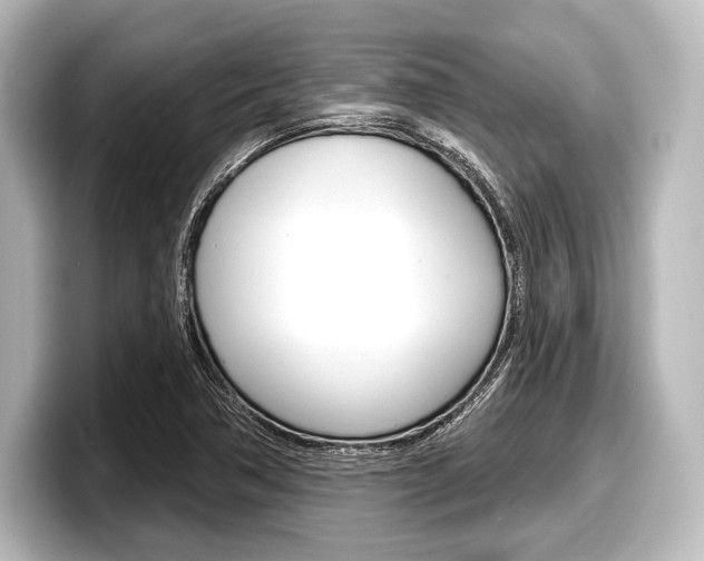 X0000098171362200804241000