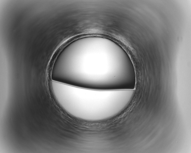 X0000098171364200804241000