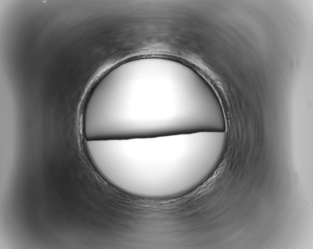 X0000098171366200804241000