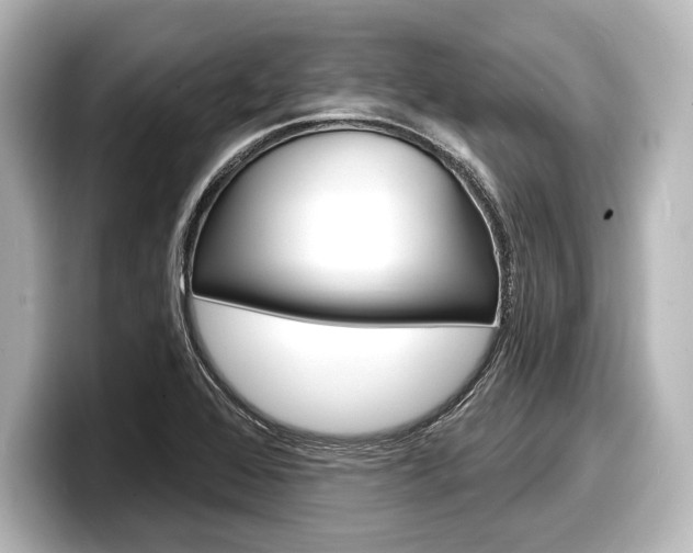 X0000098171368200804241000