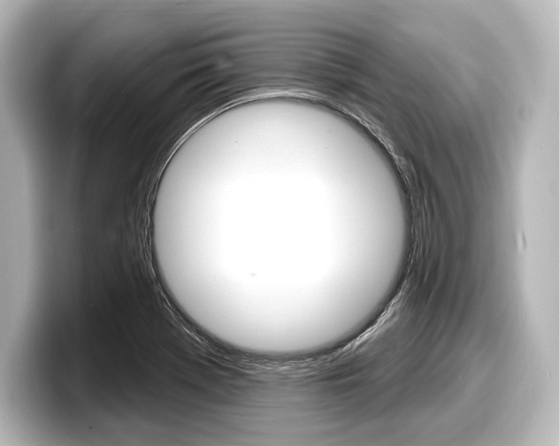 X0000098171369200804241000