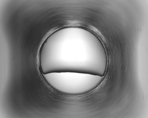 X0000098171370200804241000