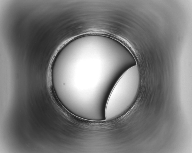 X0000098171371200804241000