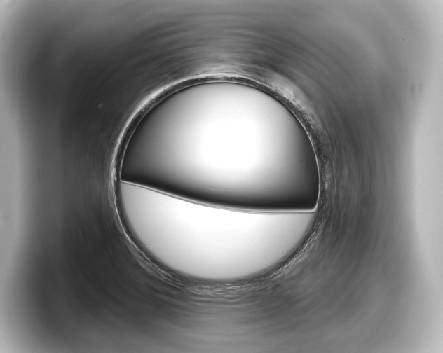 X0000098171372200804241000