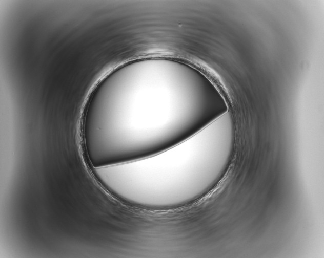 X0000098171373200804241000