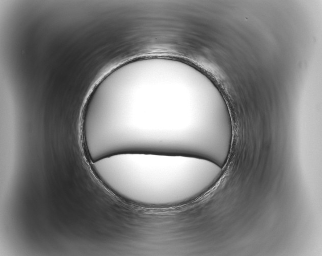 X0000098171374200804241000