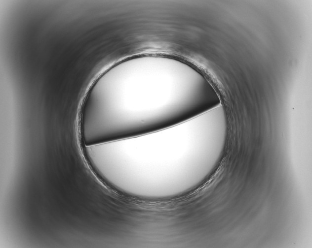 X0000098171375200804241000