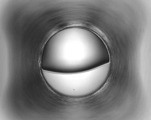X0000098171377200804241000