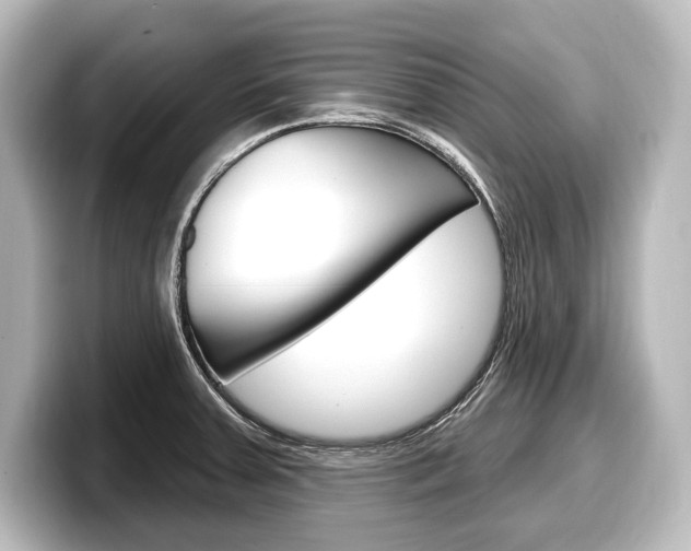 X0000098171379200804241000