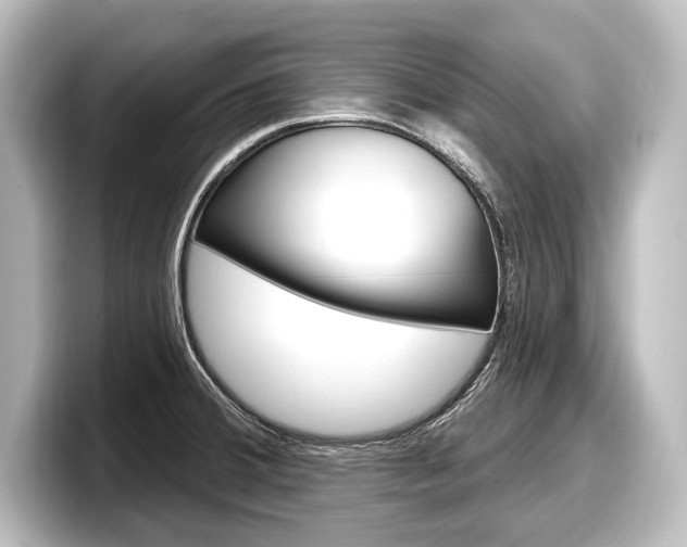 X0000098171380200804241000