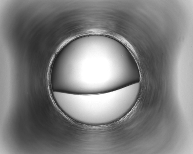 X0000098171381200804241000
