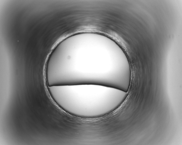 X0000098171382200804241000