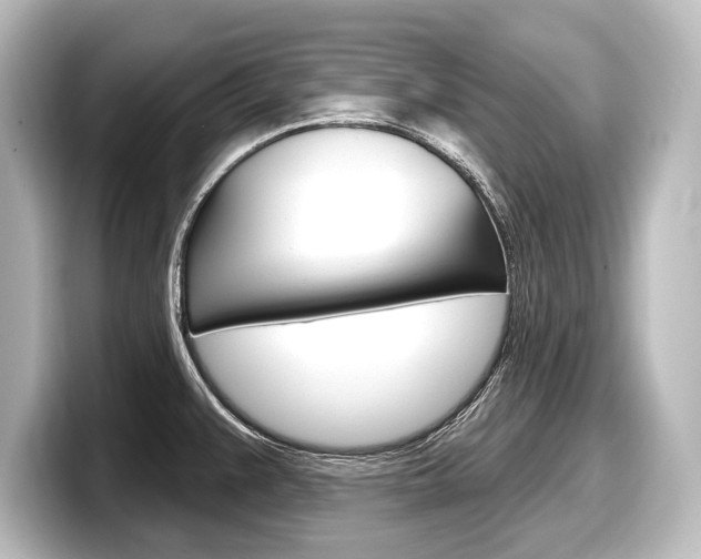 X0000098171383200804241000