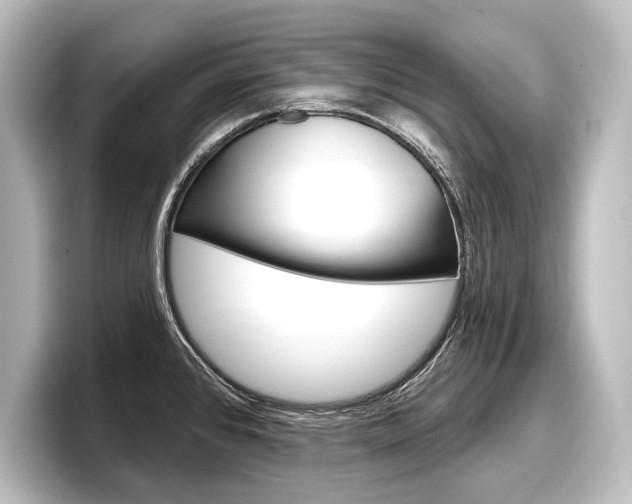 X0000098171384200804241000