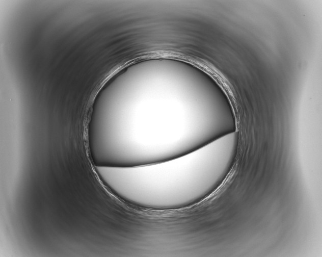X0000098171385200804241000