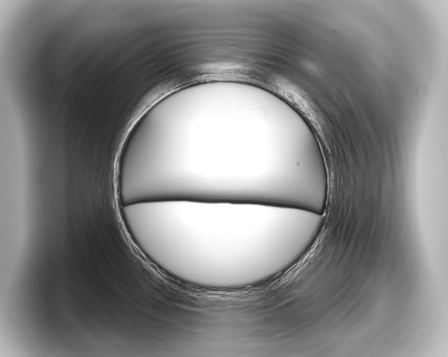 X0000098171386200804241000