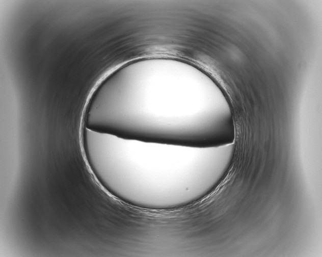 X0000098171387200804241000