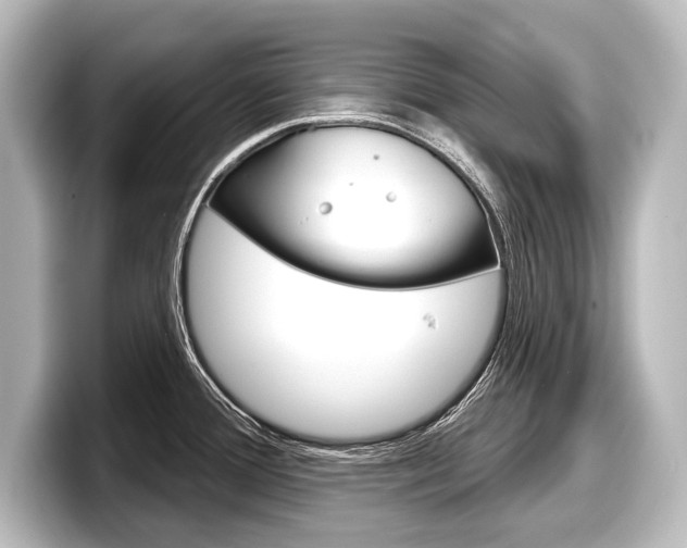 X0000098171388200804241000