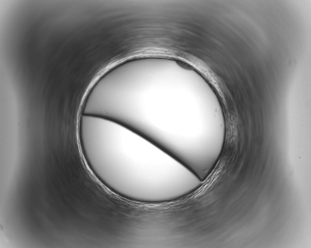 X0000098171390200804241000