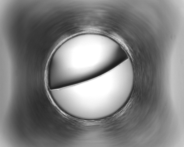 X0000098171391200804241000