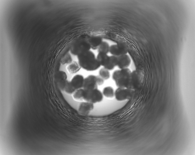 X0000098171393200804240959