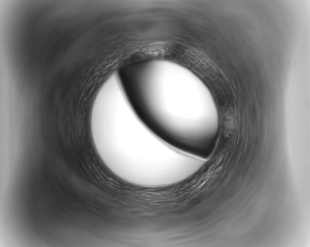 X0000098171394200804240959
