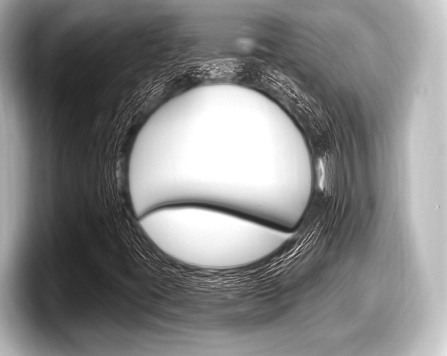 X0000098171395200804240959