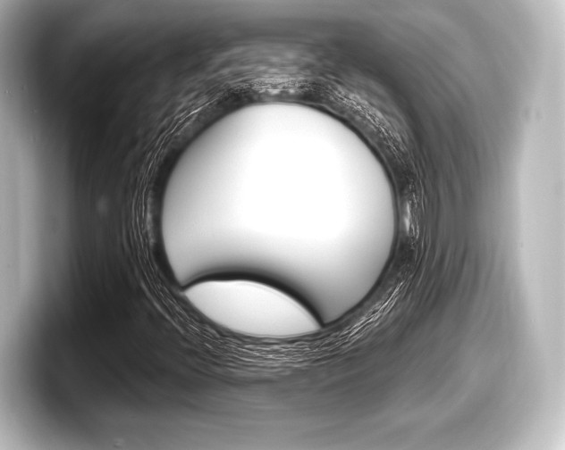 X0000098171396200804240959