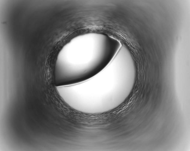 X0000098171398200804240959