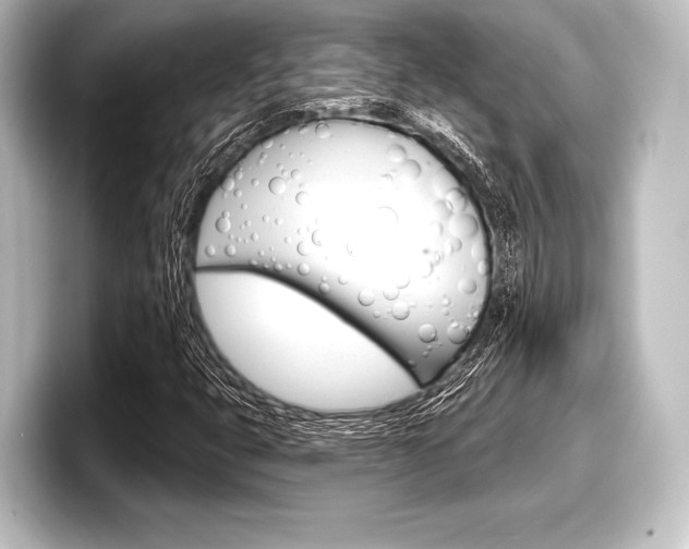 X0000098171399200804240959