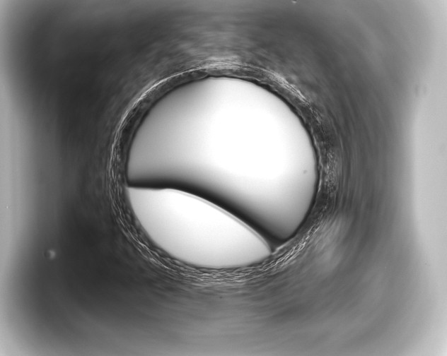 X0000098171400200804240959