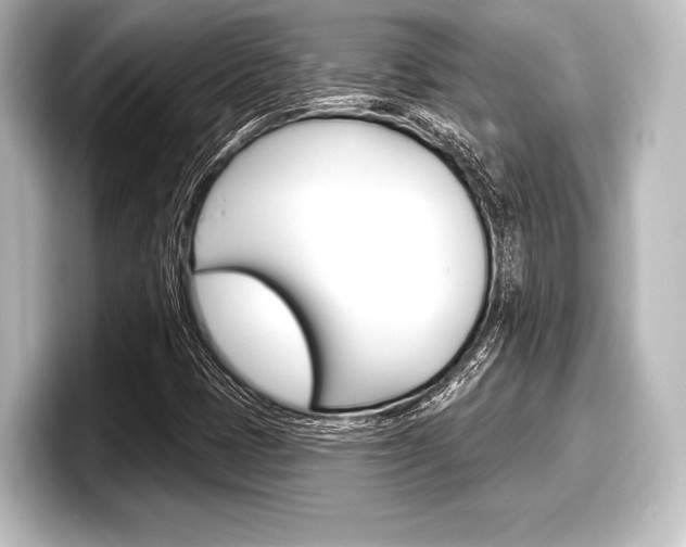X0000098171401200804240959