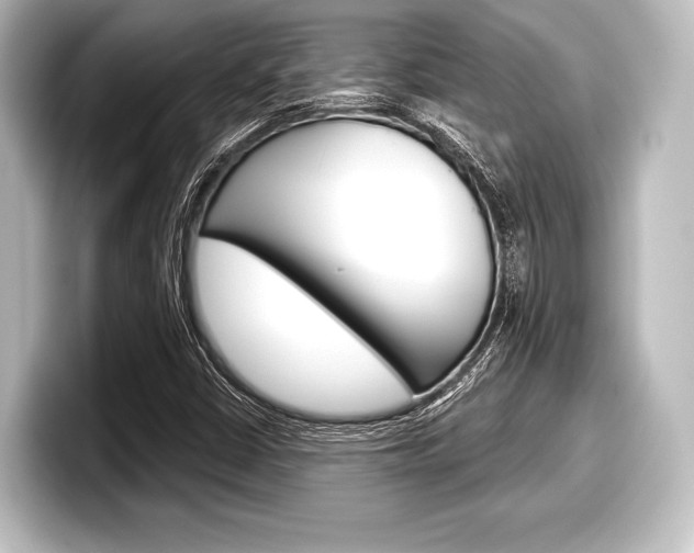 X0000098171402200804240959