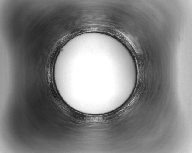 X0000098171403200804240959