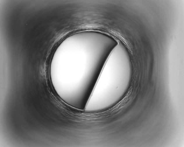 X0000098171404200804240959