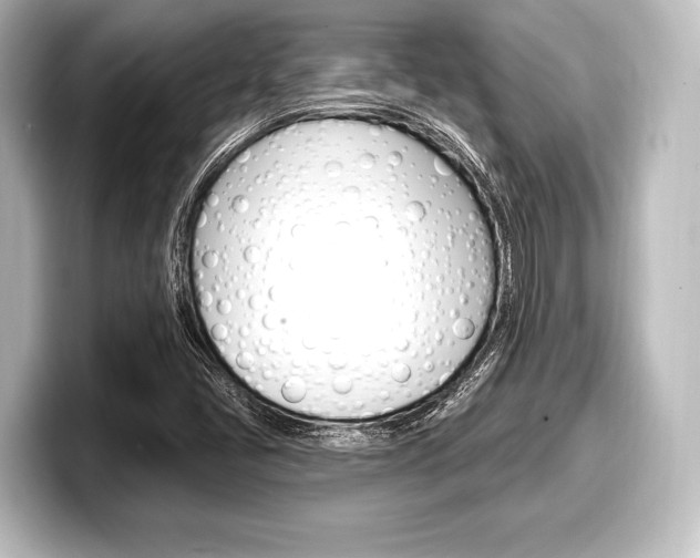X0000098171405200804240959