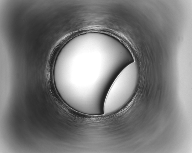 X0000098171406200804240959